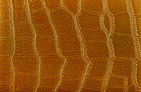 Brown crocodile leather texture as background. golden alligator pattern.の写真素材