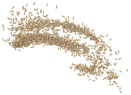 Caraway seeds isolated on a white background, top view. Cumin seeds.の写真素材
