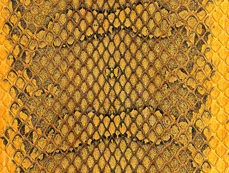 Golden snake skin texture, as background. natural reptile leather.の写真素材
