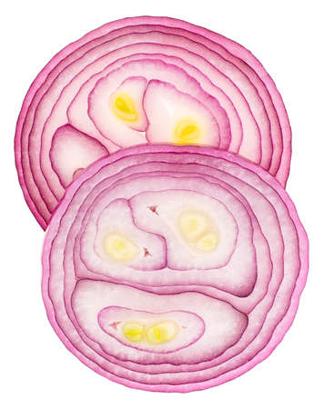 Fresh violet onion rings isolated on a white background, top view.の写真素材