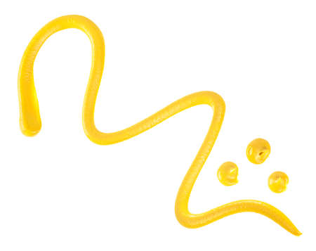 Hot dog mustard sauce isolated on a white background, top view. yellow mustard sauce.の写真素材