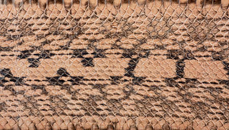 Brown snake pattern imitation, as background. Natural snake skin.
