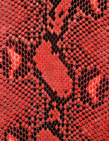 Reticulated python skin as background, red color.