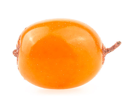 Fresh ripe berry of sea buckthorn isolated on a white background, macro.の写真素材