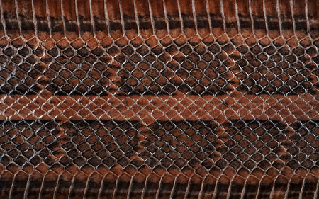 Natural brown python leather as background. Snakeskin texture pattern.