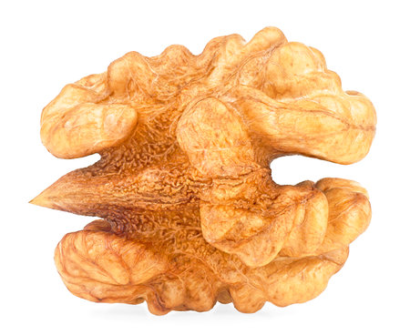 Kernel walnut isolated on a white background. Walnut seed.の写真素材