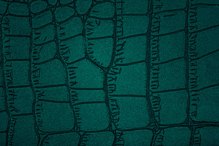 Close-up of luxury crocodile skin texture, as background.の写真素材