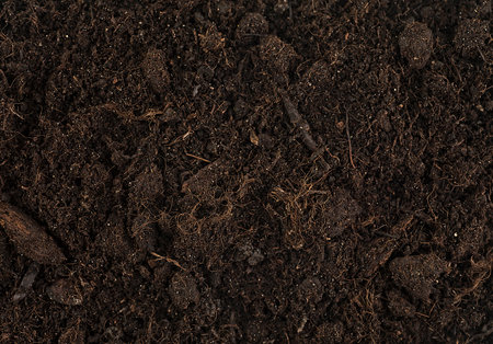 Textured fertile soil for the background. Gardening season.の写真素材