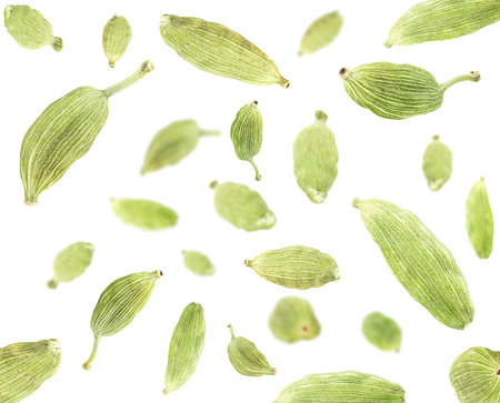 Levitate cardamom pods isolated on a white background. Cardamom pods collection.の写真素材