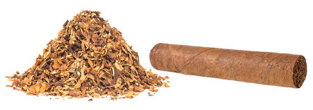 Pile of dried tobacco and brown cigar isolated on a white backgroundの写真素材