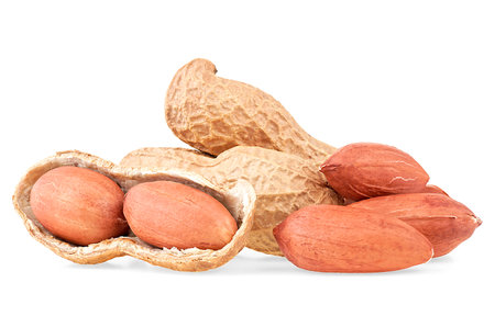 Dried peanuts isolated on a white background. Healthy snack. Group of peeled and unpeeled nuts.の写真素材