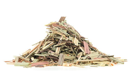 Dry sprigs of natural lemongrass isolated on a white background. Cymbopogon citratus.の写真素材