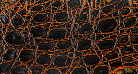 Black texture of luxury crocodile leather. Dark reptile skin. Material of fashion accessory. Surface of crocodile skin.の写真素材