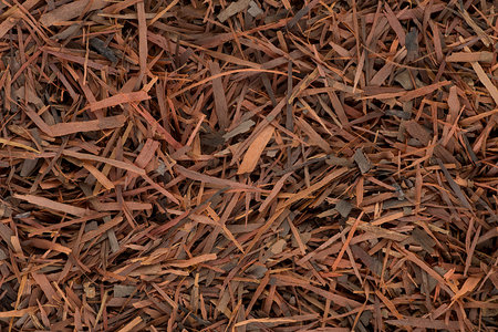 Lapacho herbal tea as background, top view. Natural Taheebo dry tea. Herbal tea from the bark of an ant tree.の写真素材
