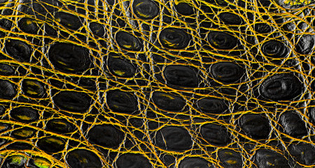 Background of natural crocodile leather, black and yellow color. Abstract background.の写真素材