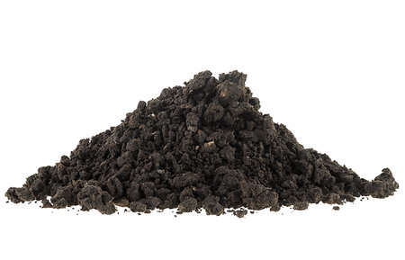 Black soil, humus. Pile of fertile soil isolated on a white background.の写真素材