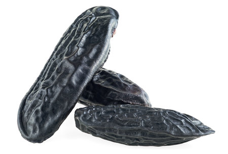 Fresh aroma tonka beans isolated on a white background. Beans of Dipteryx odorata.の写真素材