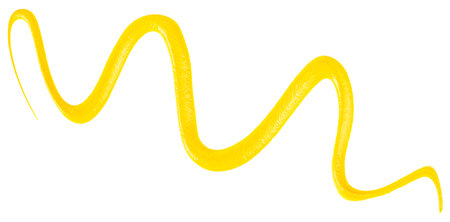 Mustard spill isolated on a white background, top view. Mustard sauce wavy line.の写真素材