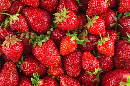 Background from freshly harvested strawberries, top view. Food background.の写真素材