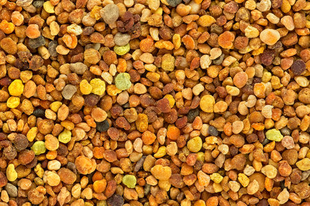Background of multicolor grains of bee pollen, top view. Heap of bee pollen, texture.の写真素材