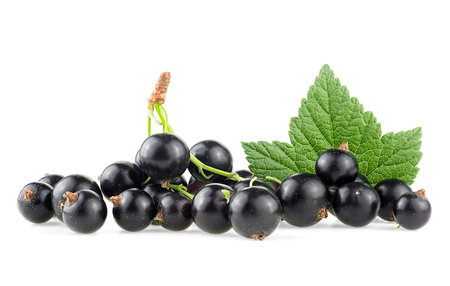 Heap of black currant berries and green leaf isolated on a white backgroundの写真素材