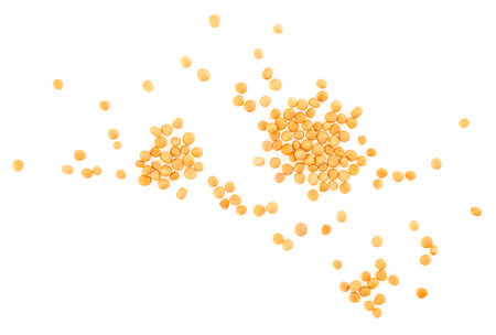 Yellow mustard seeds isolated on white background, top view. Organic seeds.の写真素材