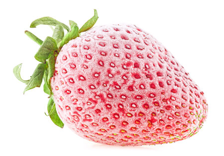 Frozen strawberry isolated on a white background. Strawberry covered with hoarfrost.の写真素材