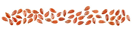 Top view of brown linseeds isolated on a white background. Seeds of flax.の写真素材