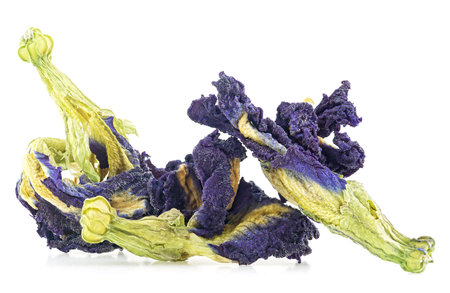 Healing blue tea - flowers of the clitoris triplicate, macro. Organic blue Anchan tea, dried tea flowers.の写真素材