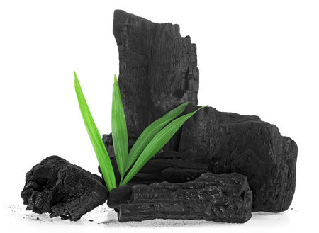 Natural wooden charcoal with bamboo leaves isolated on a white background. Hard wood charcoal powder has medicinal properties.の写真素材