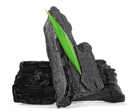 Pieces of natural wood charcoal with bamboo leaf isolated on a white background. Traditional charcoal.の写真素材