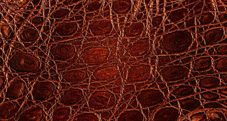 Background of colored alligator skin. Texture of brown crocodile leather.の写真素材