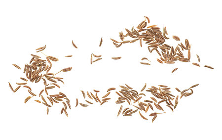 Cumin or caraway seeds isolated on a white background, view from above.の写真素材