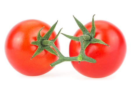 Two ripe red tomatoes on branch isolated on a white background. Cherry tomatoes.の写真素材