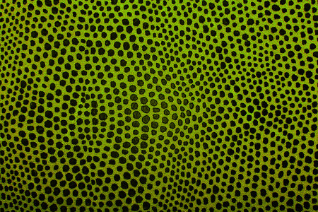 Colored background of salamander skin. Reptile leather texture.の写真素材
