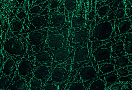 Crocodile skin texture. Background pattern crocodile alligator skin.の写真素材