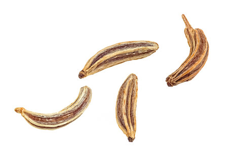 Organic cumin seeds isolated on a white background, macro. Caraway on white background.の写真素材