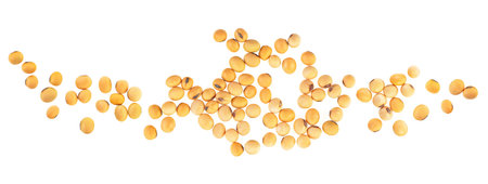 Soybean seeds isolated on a white background, view from above. Organic grains, healthy food.の写真素材