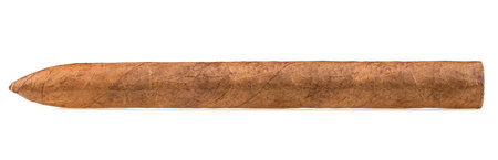 Big brown luxury cigar isolated on a white background. Handcrafted cigar made with real tobacco leaves.の写真素材