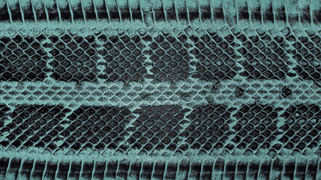 Texture of snake skin, as background. Python leather surface.