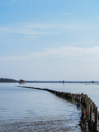 hut and fence in the river near mangrove forestの写真素材