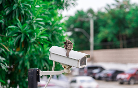 CCTV camera installed on the parking lot for protection securityの写真素材