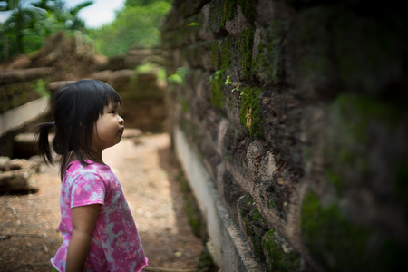little girl looking a grass on the old rock wallの写真素材