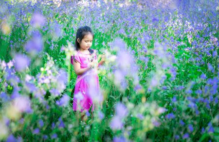 happy little asian girl in crested serpent sweet purple flowers garden fieldの写真素材