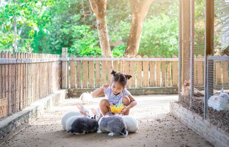 Cute little asian girl feeding rabbit on the farmの写真素材