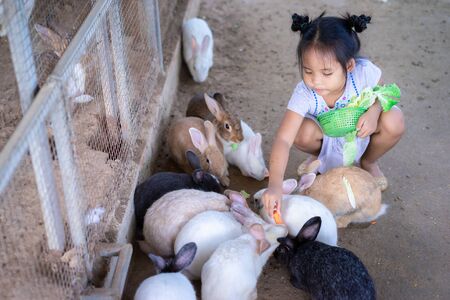Cute little asian girl feeding rabbit on the farmの写真素材