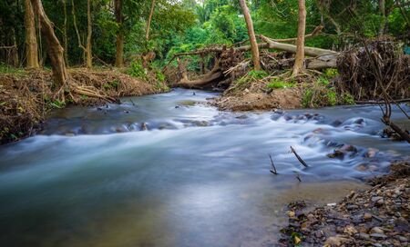 Small stream from mountain in the tropical forestの写真素材