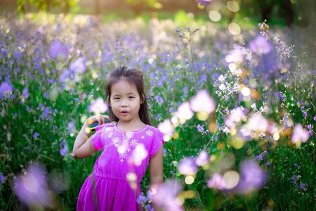 happy little asian girl in crested serpent sweet purple flowers garden fieldの写真素材