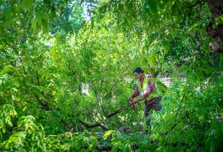 Prachinburi,Thailand - May 1, 2018 : Man sawing the wood on the street