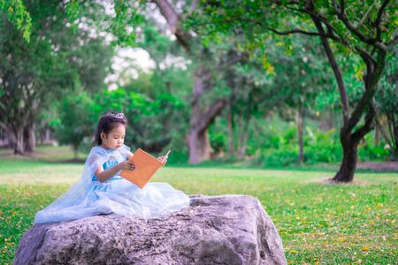 A little cute asian girl in princess costume reading a book sitting in the parkの写真素材